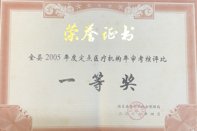  全县2005年定点医疗机构年审考核评比一等奖