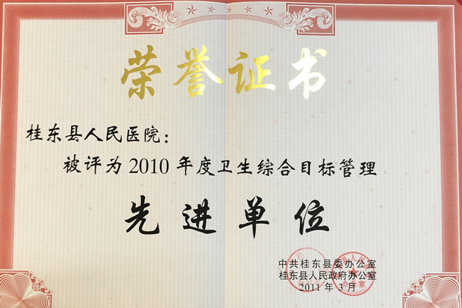 2010年卫生综合目标管理先进单位
