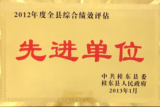 2012年度全县综合绩效评估先进单位