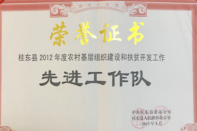 2012年扶贫先进工作队