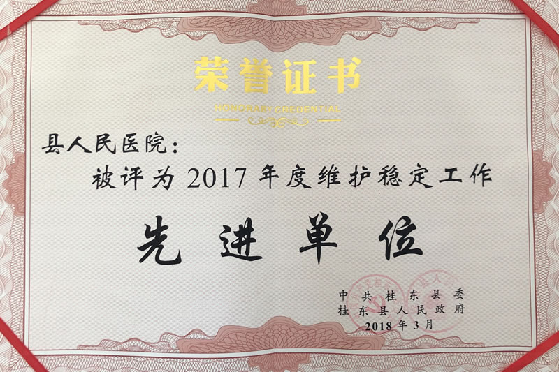 2017年度维护稳定工作先进单位